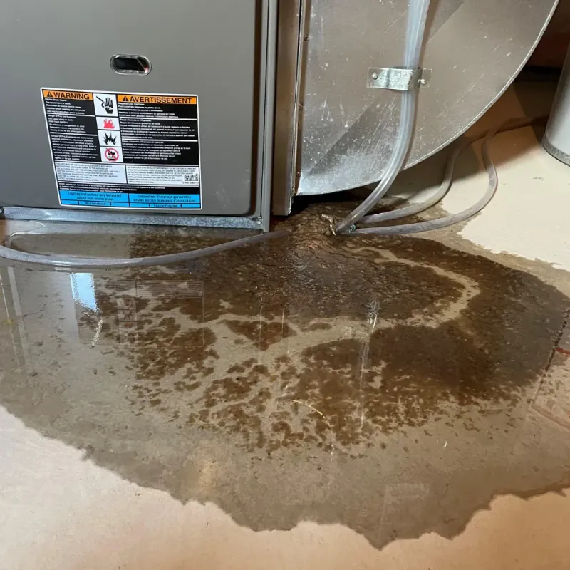 Appliance Leak Cleanup in North Corbin, KY
