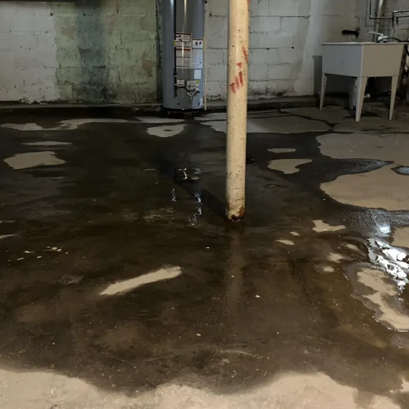 Emergency Water Extraction And Removal in North Corbin, KY